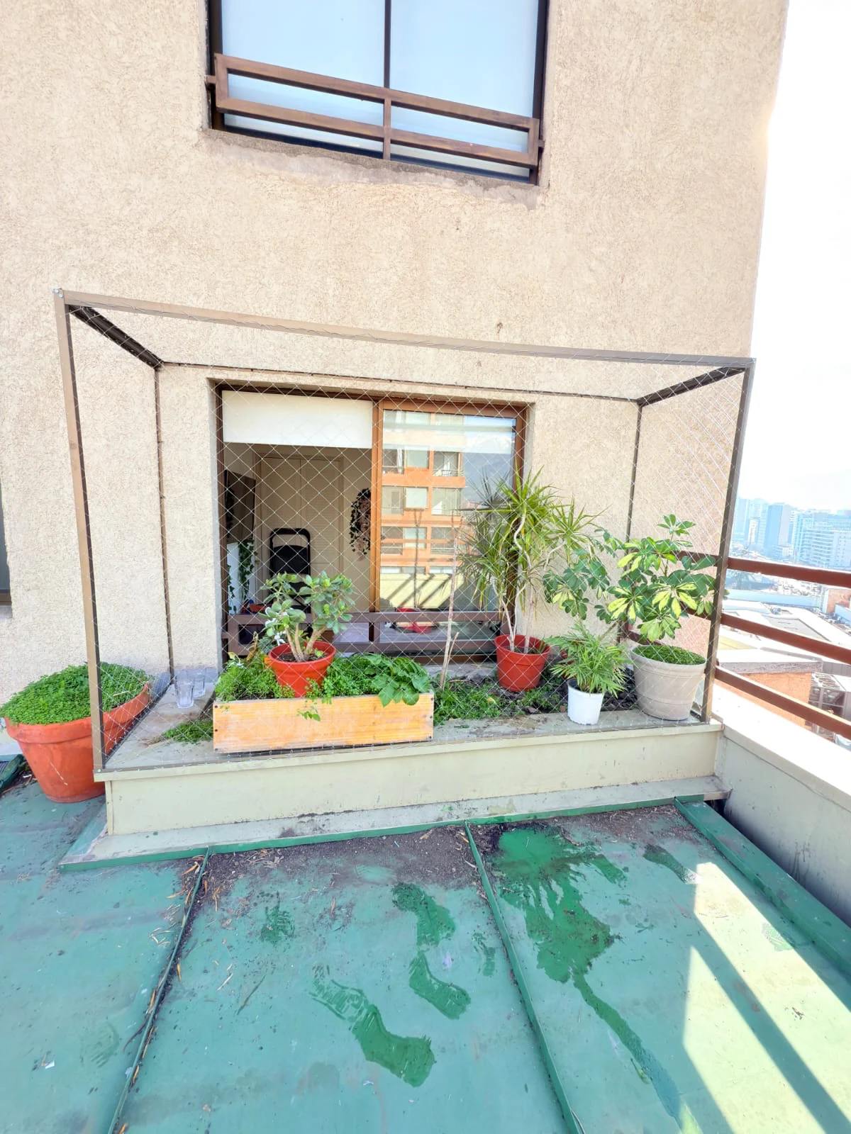 Terraza con plantas y una estructura de malla de seguridad